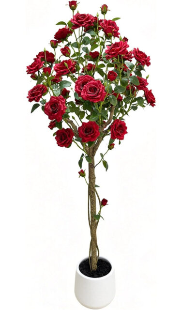 Arrangement