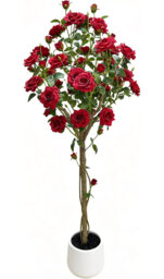 Arrangement