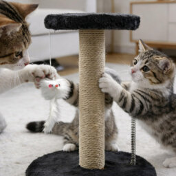 Scratching Post