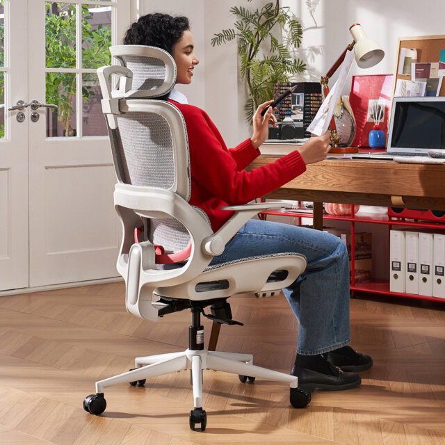 B100 Lite Ergonomic Office Chair - Adaptive Dynamic Lumbar Support, Extra Wide Headrest, Flip-Up Armrests, 90-135° Tilt Lock & Breathable Mesh Desk C