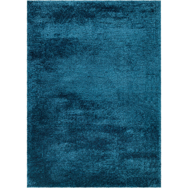 Charlesia Shag Indoor / Outdoor Area Rug
