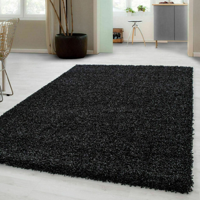 Aanuoluwa Black Indoor / Outdoor Rug