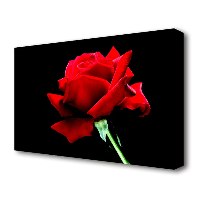 Red Rose Black Velvet Flowers Canvas Print Wall Art