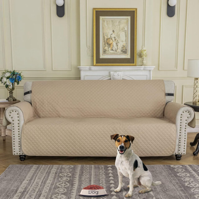 Slipcover