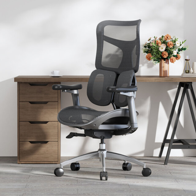 Ergonomic Office Chair, with Dual Dynamic Lumbar Support, 4D Armrests
