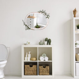 Oval Mirror