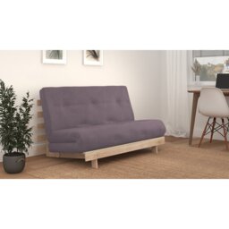 Chenango 2 Seater Futon Sofa