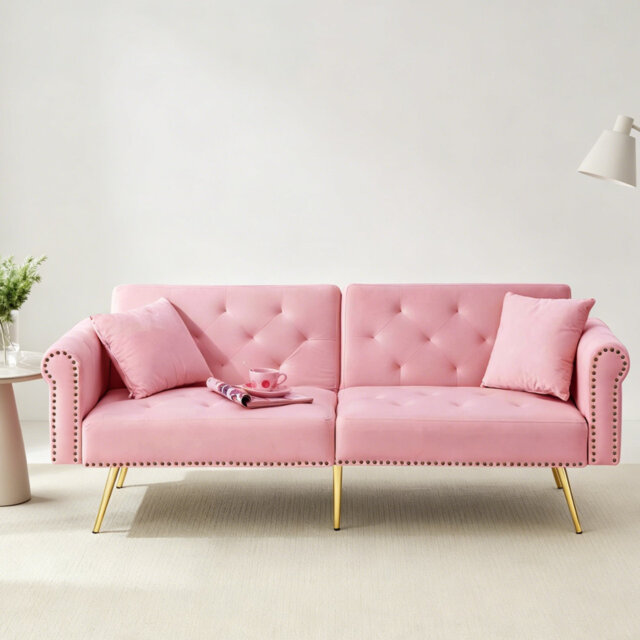 Dimmitt Modern 2-Seater Sofa Bed , 3-Stage Adjustable Backrest & Gold-Plated Metal Feet