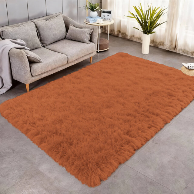 Indoor / Outdoor Living Room Area Rug