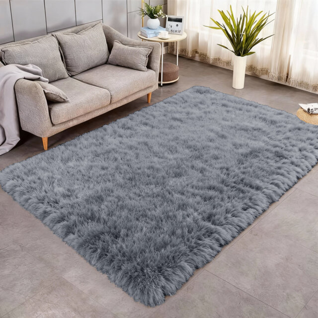 Indoor / Outdoor Living Room Area Rug