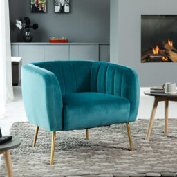 Aylin Velvet Barrel Chair