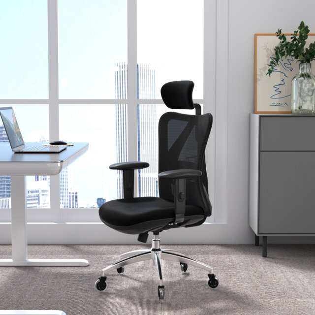 Ergonomic Office Chair, with Breathable Mesh, Upgraded to Rollerblade Wheels