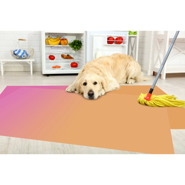 Carisse Vinyl Machine Printed 150cm X 165cm Area Rug