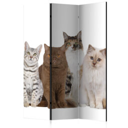 135cm W x 172cm H 3 - Panel Wood Folding Room Divider