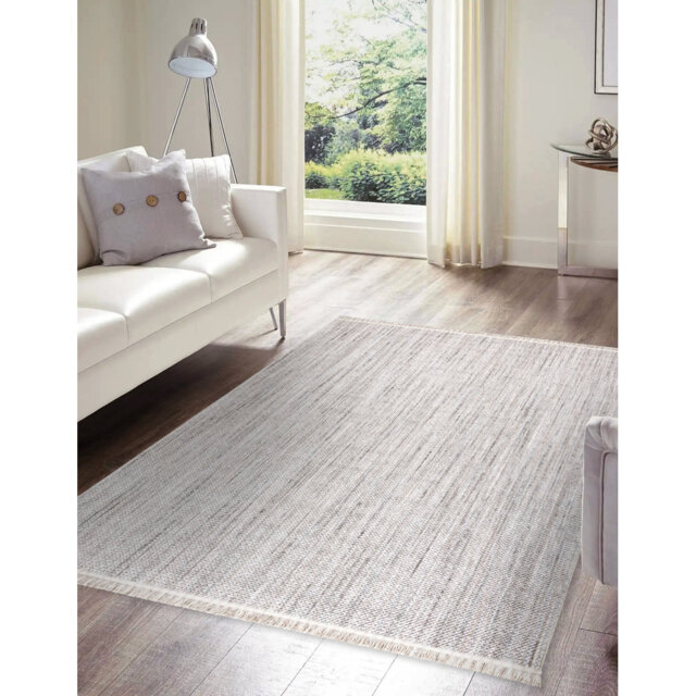 Daemyn Solid Colour Flat Woven Flatweave Grey Area Rug
