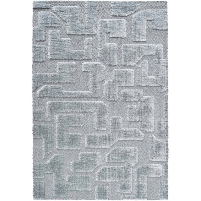 Chanique Machine Woven Grey Area Rug