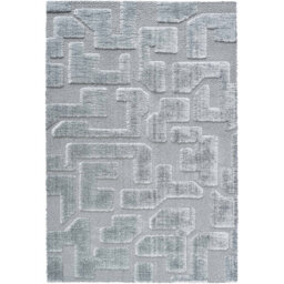 Chanique Machine Woven Grey Area Rug