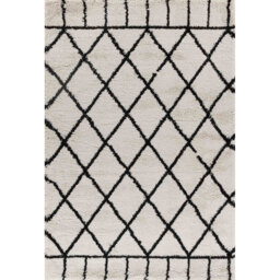 Franke Shaggy Black/Beige Indoor/Outdoor Rug