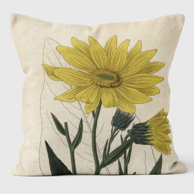 Helianthus - Botanical Cushion