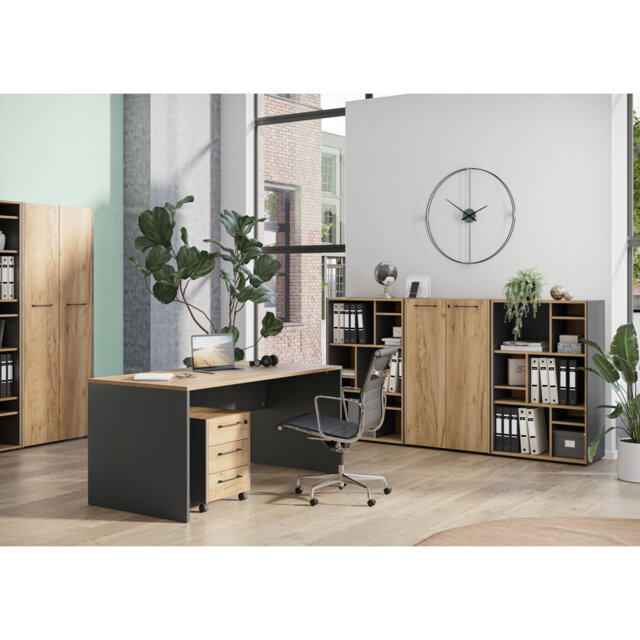 Astella 41.4cm Wide 3 -Drawer Mobile File Cabinet