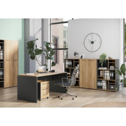 Astella 41.4cm Wide 3 -Drawer Mobile File Cabinet