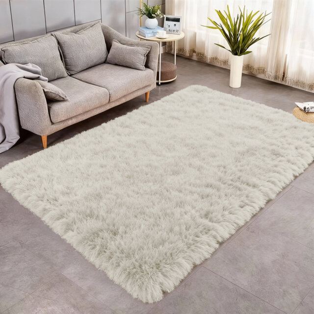 Indoor / Outdoor Living Room Area Rug