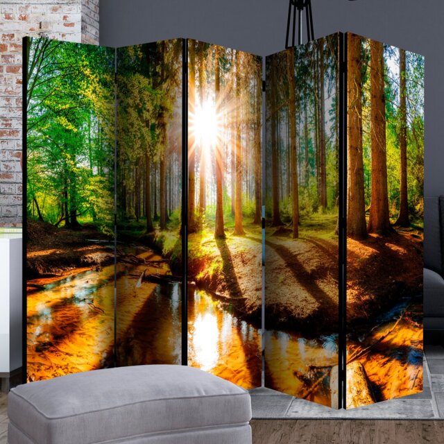 Lernig 172cm H Solid Wood Folding Room Divider