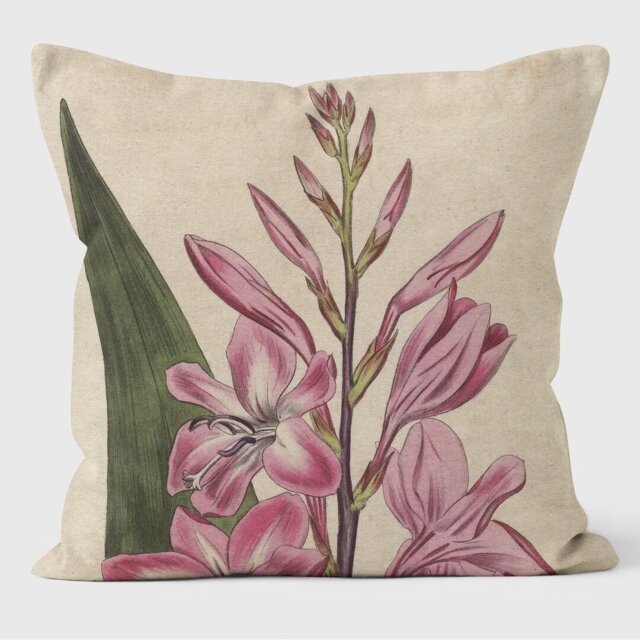 Gladiolus - Botanical Cushion