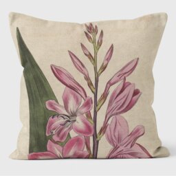 Gladiolus - Botanical Cushion