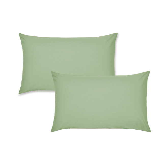 Easy Iron Percale Standard Pillowcase