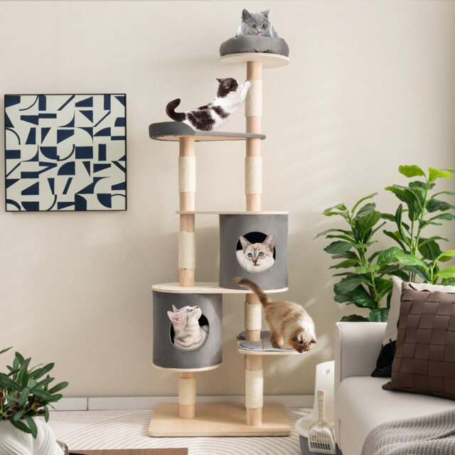 Teviston 74.67cm H Cat Tree