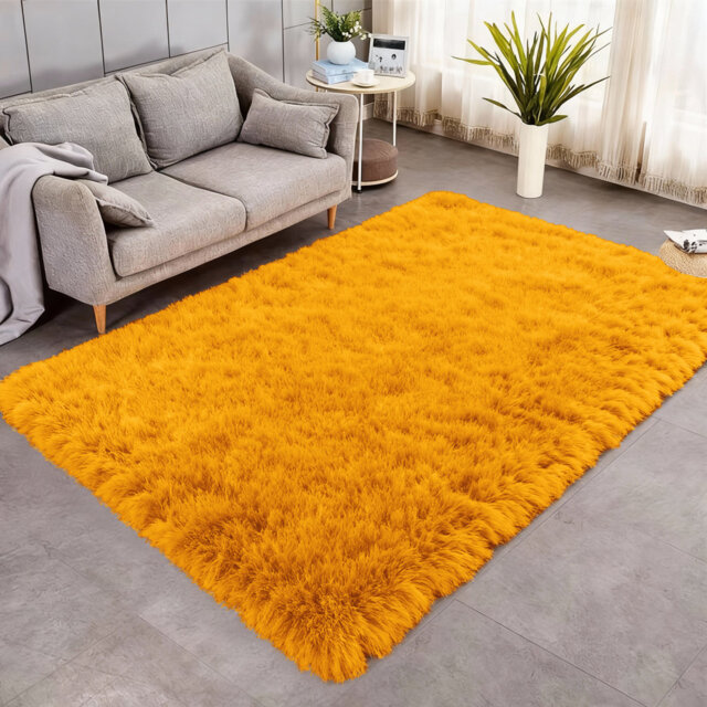 Indoor / Outdoor Living Room Area Rug