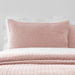 Attica Velvet Embroidered Pillow sham Pair