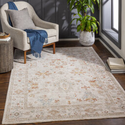 Vintage Traditional Oriental Boho Light Beige Rug