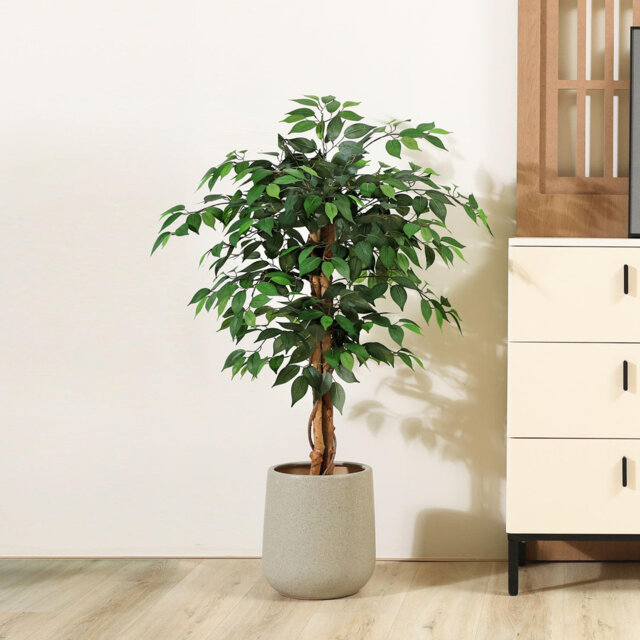 180Cm Artificial Ficus Tree With Natural Wood Trunk, Silk Fake Ficus Tree In Plastic Nursery Pot, Faux Plant For Office Home, Indoor Outdoor Decor, 1