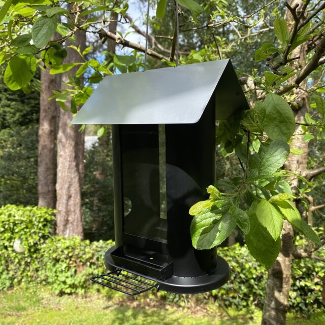 Frayed Hopper Bird Feeder