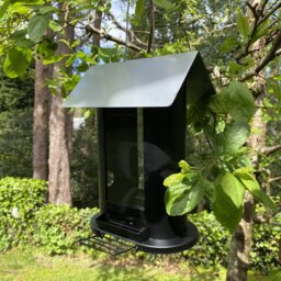 Frayed Hopper Bird Feeder