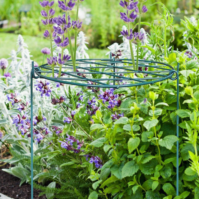 Bartosz Plant Stand Ring Support Iron Round Plant Support With Grid for Outdoor Plants (50CM)