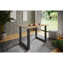 Alexious Metal Base Dining Table