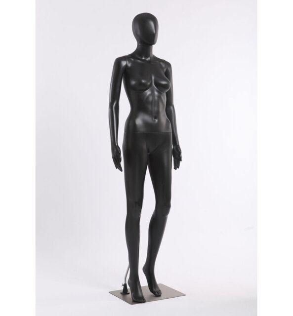 Anikesh Statue