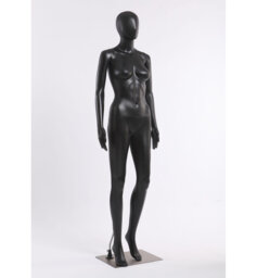 Anikesh Statue