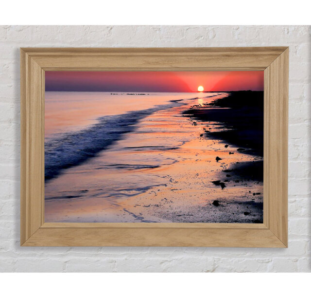 Pink Delight Framed Print