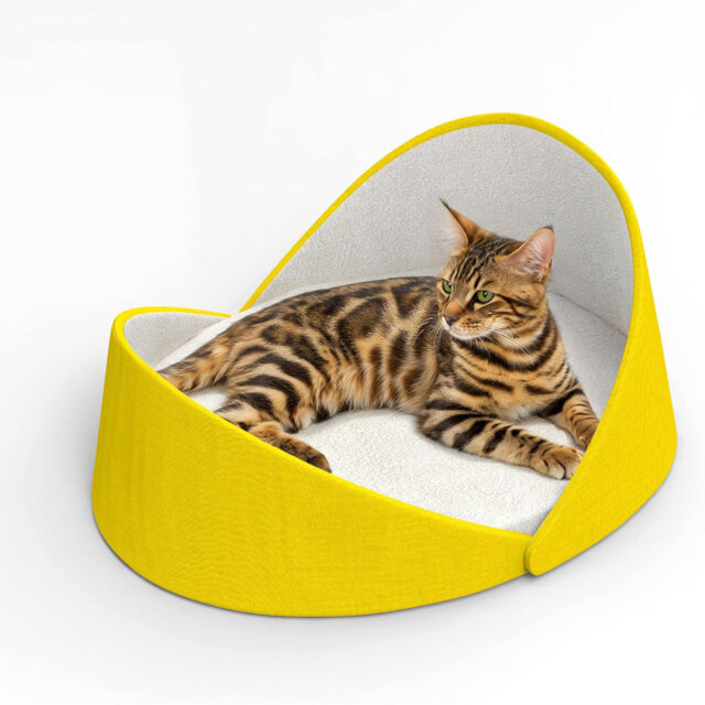 Large 2-Cat Cat Couch Bed