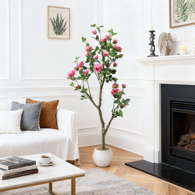 152cm Plant