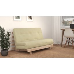 Chenango 2 Seater Futon Sofa