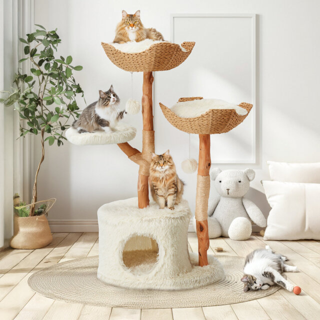 Natural Wood Cat Tower With Hand-woven Baskets And Cat Condo, Tall Cat Tree For Indoor Cats, White
