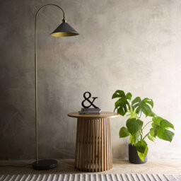 Aidyen 165cm Matte Arched Floor Lamp