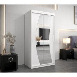 Aayon 2 Door Solid + Manufactured Wood Wardrobe