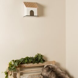Sophronia Decorative Bird House