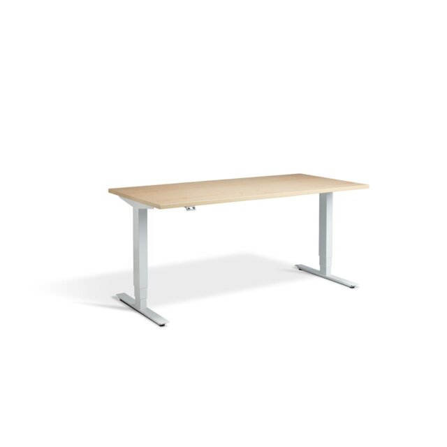 Trexler Metal Base Standing Desk